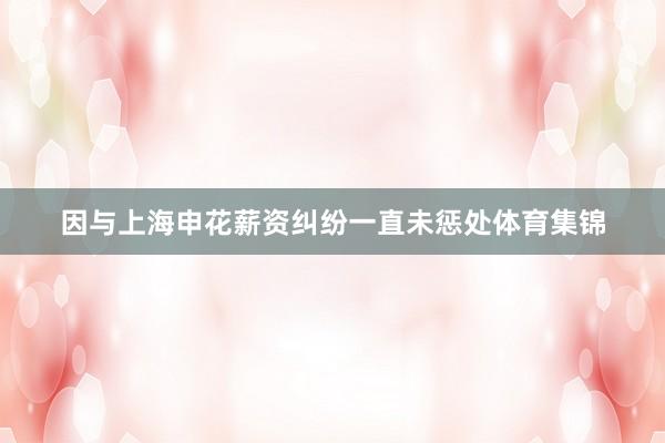 因与上海申花薪资纠纷一直未惩处体育集锦