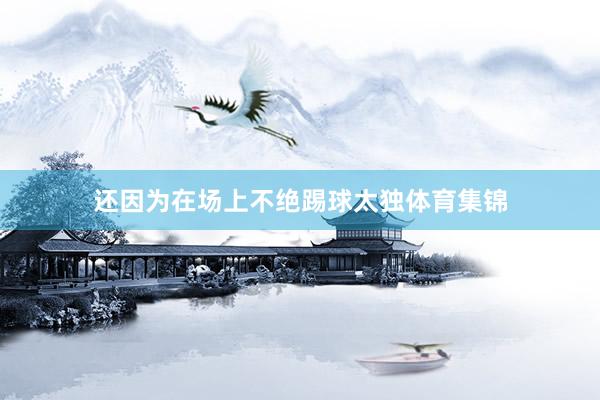 还因为在场上不绝踢球太独体育集锦