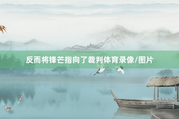反而将锋芒指向了裁判体育录像/图片