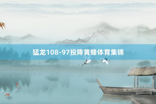 猛龙108-97投降黄蜂体育集锦