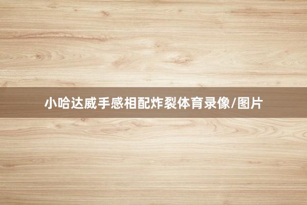 小哈达威手感相配炸裂体育录像/图片