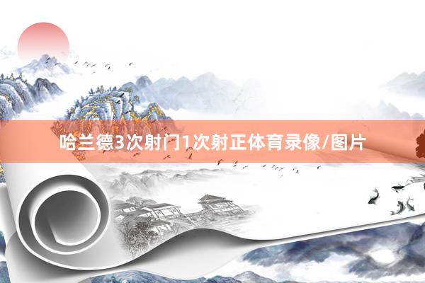 哈兰德3次射门1次射正体育录像/图片