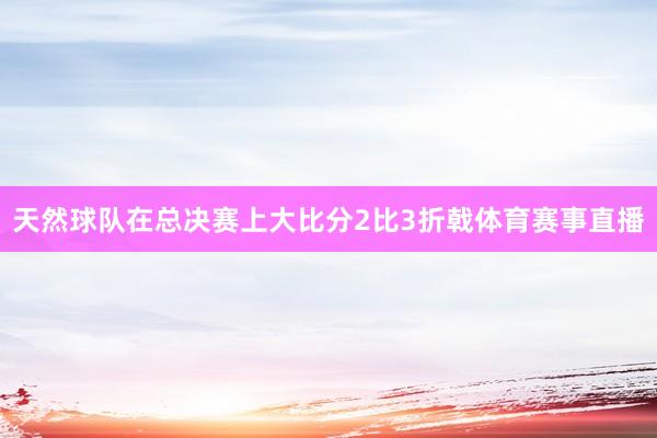 天然球队在总决赛上大比分2比3折戟体育赛事直播