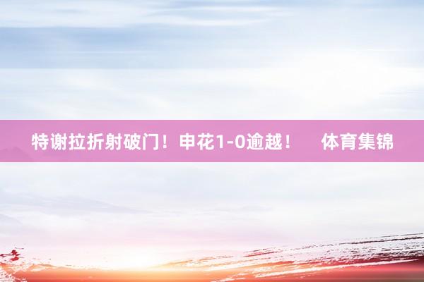 特谢拉折射破门！申花1-0逾越！    体育集锦