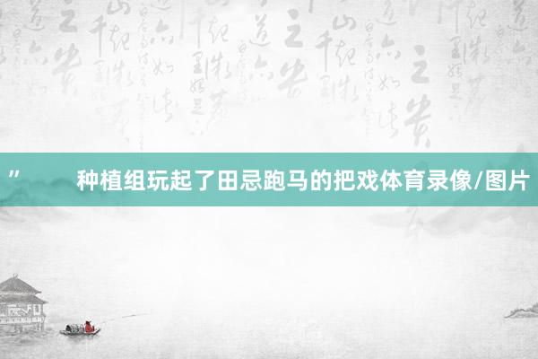 ”        种植组玩起了田忌跑马的把戏体育录像/图片