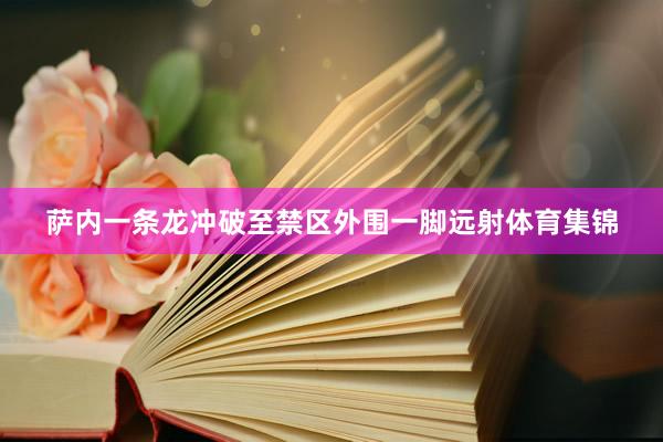 萨内一条龙冲破至禁区外围一脚远射体育集锦