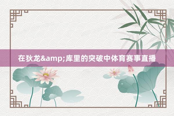 在狄龙&库里的突破中体育赛事直播