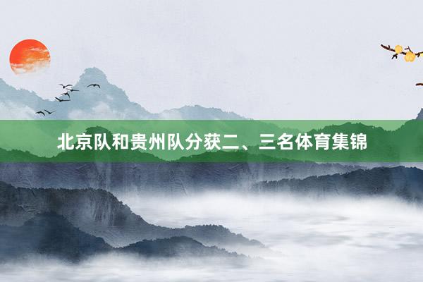 北京队和贵州队分获二、三名体育集锦