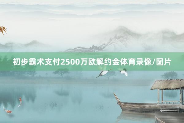初步霸术支付2500万欧解约金体育录像/图片