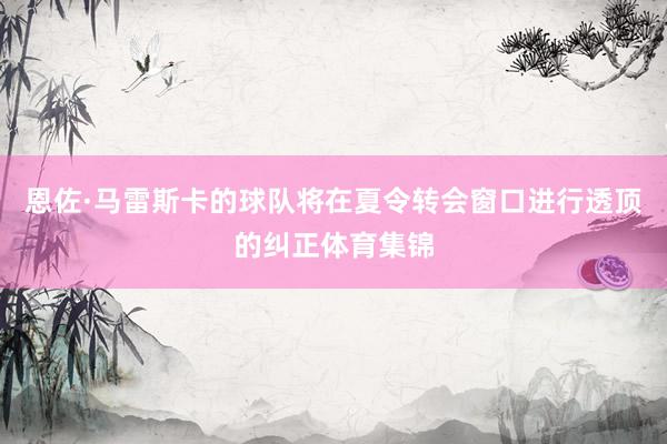 恩佐·马雷斯卡的球队将在夏令转会窗口进行透顶的纠正体育集锦