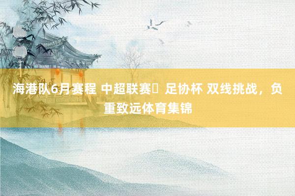 海港队6月赛程 中超联赛➕足协杯 双线挑战，负重致远体育集锦