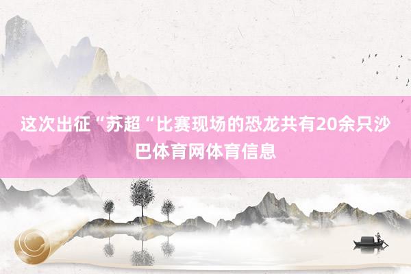 这次出征“苏超“比赛现场的恐龙共有20余只沙巴体育网体育信息