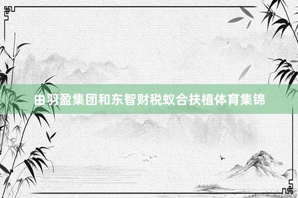 由羽盈集团和东智财税蚁合扶植体育集锦