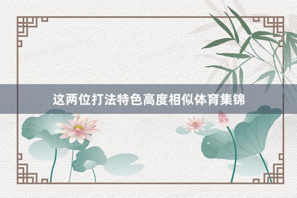 这两位打法特色高度相似体育集锦