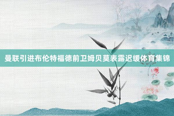 曼联引进布伦特福德前卫姆贝莫表露迟缓体育集锦