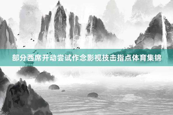 部分西席开动尝试作念影视技击指点体育集锦