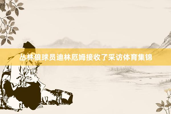 丛林狼球员迪林厄姆接收了采访体育集锦