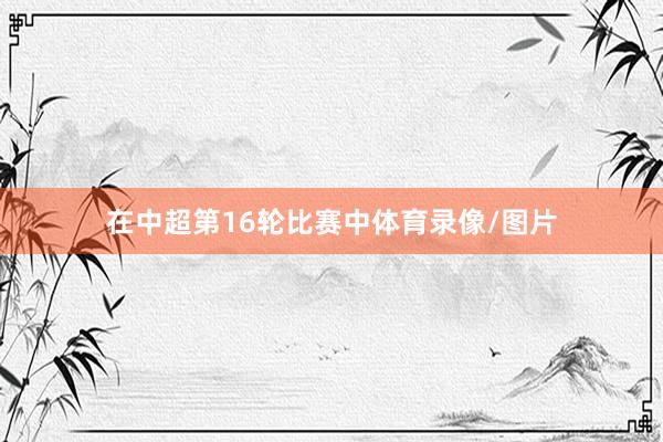 在中超第16轮比赛中体育录像/图片