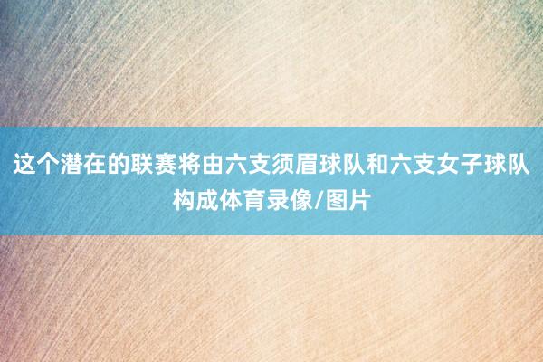 这个潜在的联赛将由六支须眉球队和六支女子球队构成体育录像/图片