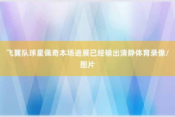 飞翼队球星佩奇本场进展已经输出清静体育录像/图片