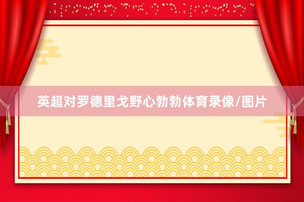 英超对罗德里戈野心勃勃体育录像/图片