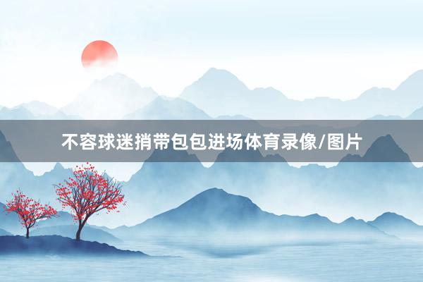 不容球迷捎带包包进场体育录像/图片