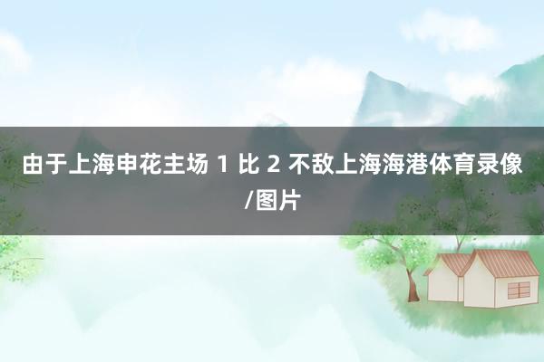 由于上海申花主场 1 比 2 不敌上海海港体育录像/图片
