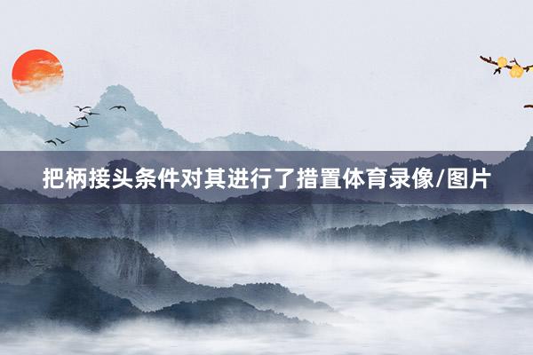 把柄接头条件对其进行了措置体育录像/图片