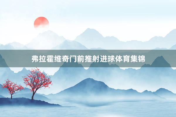 弗拉霍维奇门前推射进球体育集锦