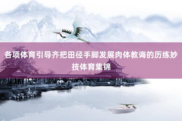各项体育引导齐把田径手脚发展肉体教诲的历练妙技体育集锦
