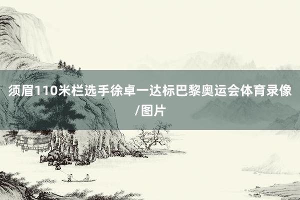 须眉110米栏选手徐卓一达标巴黎奥运会体育录像/图片