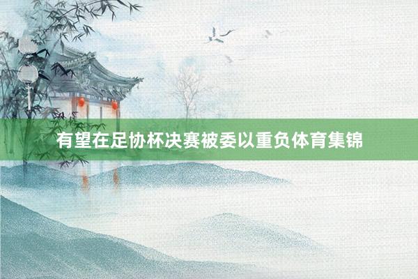 有望在足协杯决赛被委以重负体育集锦