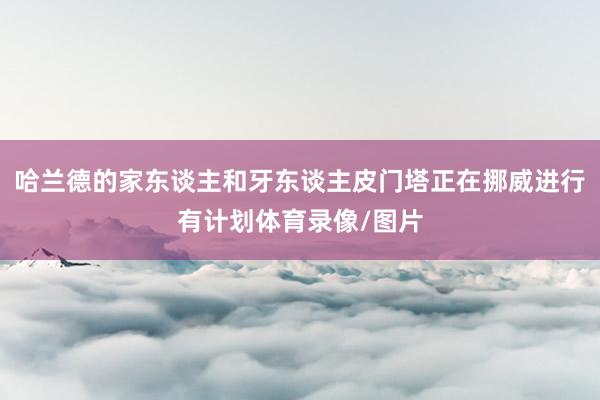 哈兰德的家东谈主和牙东谈主皮门塔正在挪威进行有计划体育录像/图片