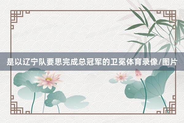 是以辽宁队要思完成总冠军的卫冕体育录像/图片