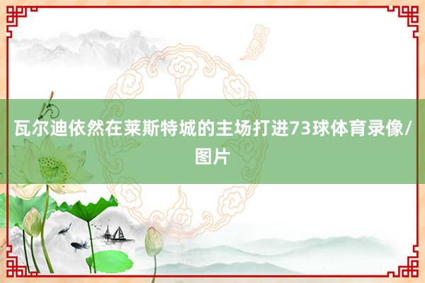 瓦尔迪依然在莱斯特城的主场打进73球体育录像/图片