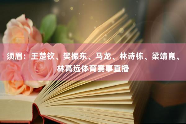 须眉：王楚钦、樊振东、马龙、林诗栋、梁靖崑、林高远体育赛事直播