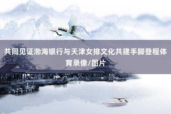 共同见证渤海银行与天津女排文化共建手脚登程体育录像/图片
