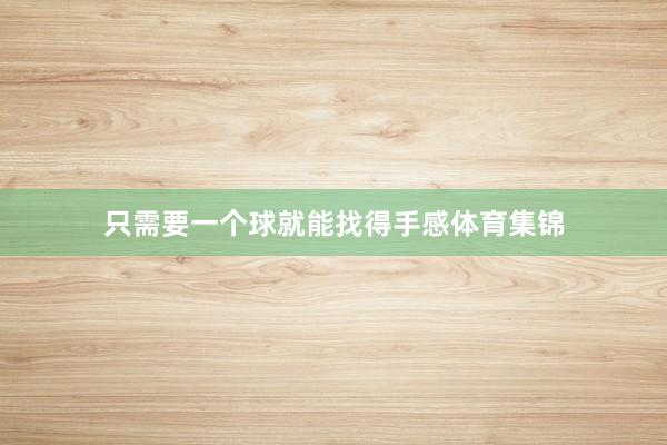 只需要一个球就能找得手感体育集锦