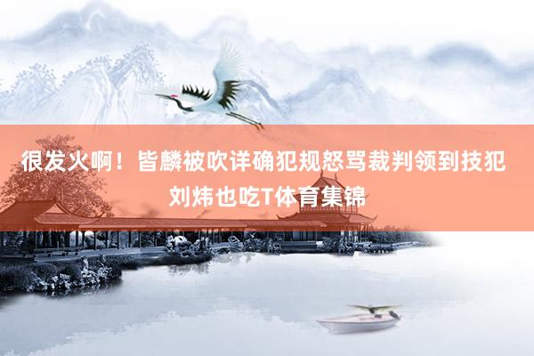 很发火啊！皆麟被吹详确犯规怒骂裁判领到技犯 刘炜也吃T体育集锦