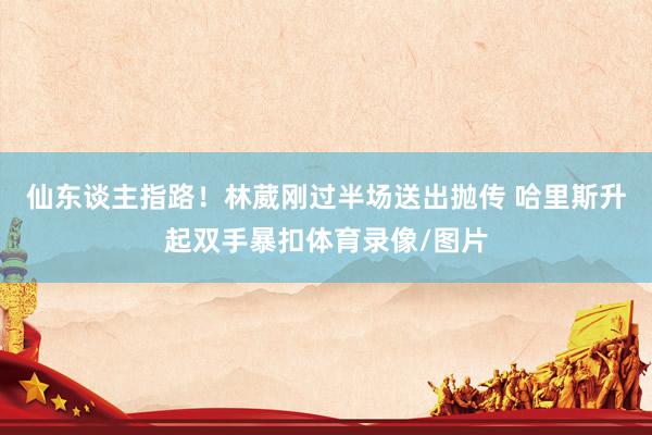 仙东谈主指路！林葳刚过半场送出抛传 哈里斯升起双手暴扣体育录像/图片