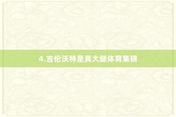 4.吉伦沃特是真大腿体育集锦
