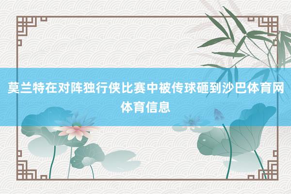 莫兰特在对阵独行侠比赛中被传球砸到沙巴体育网体育信息