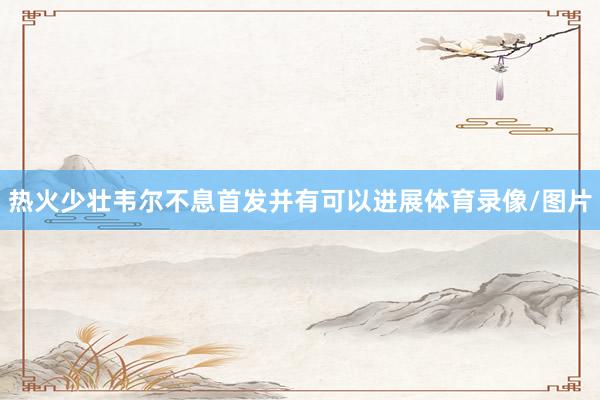 热火少壮韦尔不息首发并有可以进展体育录像/图片