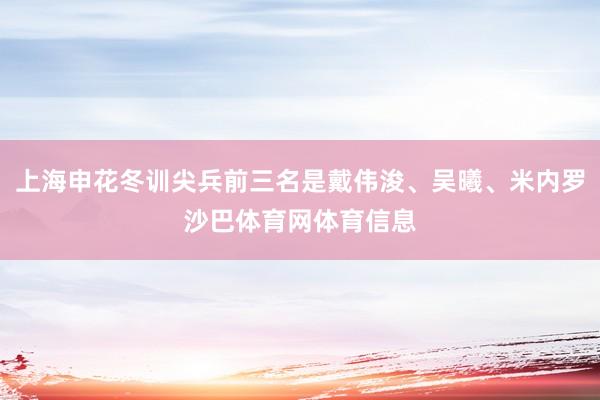 上海申花冬训尖兵前三名是戴伟浚、吴曦、米内罗沙巴体育网体育信息