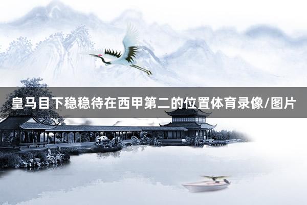 皇马目下稳稳待在西甲第二的位置体育录像/图片