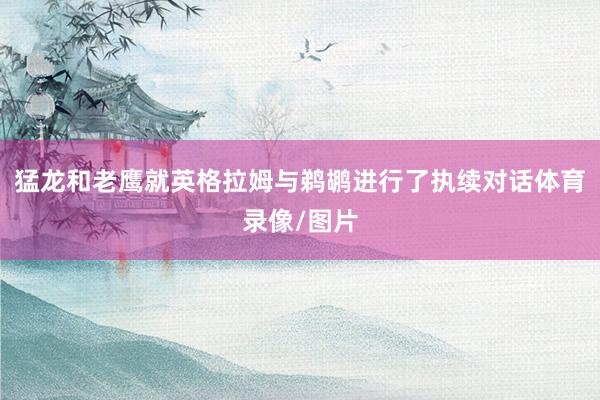 猛龙和老鹰就英格拉姆与鹈鹕进行了执续对话体育录像/图片