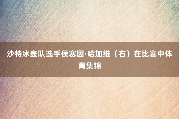 沙特冰壶队选手侯赛因·哈加维（右）在比赛中体育集锦