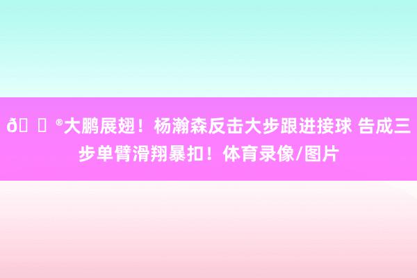 😮大鹏展翅！杨瀚森反击大步跟进接球 告成三步单臂滑翔暴扣！体育录像/图片