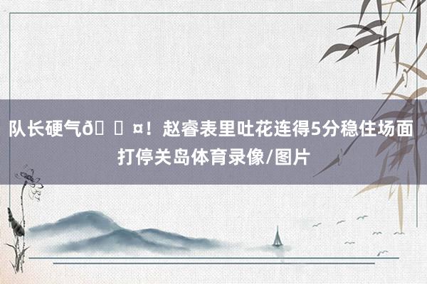 队长硬气😤！赵睿表里吐花连得5分稳住场面 打停关岛体育录像/图片