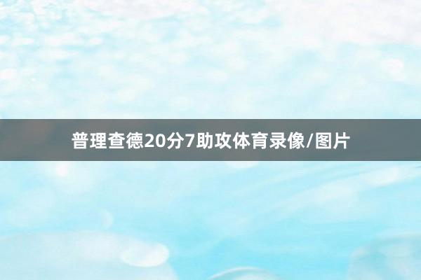 普理查德20分7助攻体育录像/图片